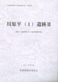川原平(1)遺跡3
