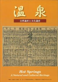  : 仺ʸ仺