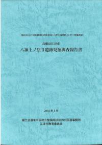 八神上ノ原2遺跡発掘調査報告書