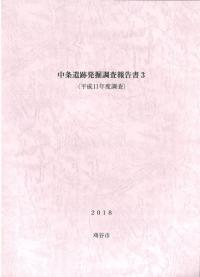 中条遺跡発掘調査報告書3(平成11年度調査)