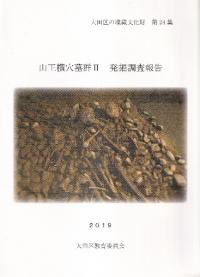 山王横穴墓群2: 発掘調査報告