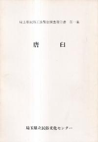 ⱱ