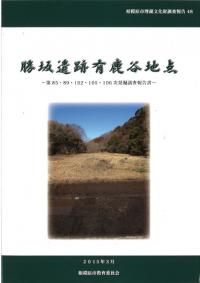 勝坂遺跡有鹿谷地点 : 第85・89・102・105・106次発掘調査報告書
