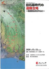 旧石器時代の遺跡立地 : 相模野台地を中心に