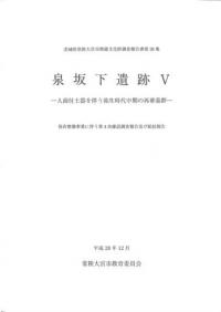 䲼5ڴȼκ跲