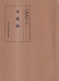 滳