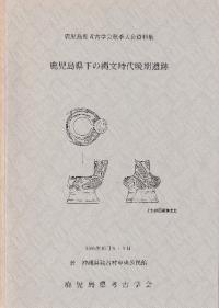 縩ʸմ