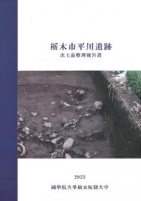 栃木市平川遺跡 出土品整理報告書