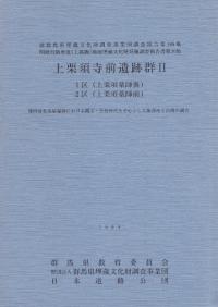 巪ܻ׷2