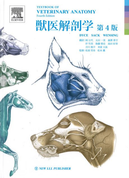 獣医解剖学 第4版 / K. M. Dyce, W. O. Sack, C. J. G. Wensing著 岡公 