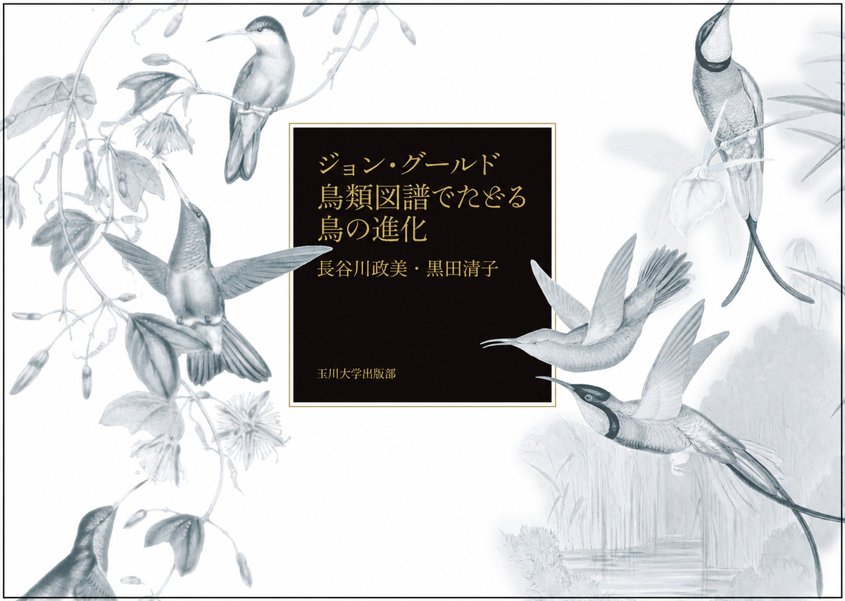 ジョン・グールド鳥類図譜でたどる鳥の進化 / 長谷川 政美 黒田 清子