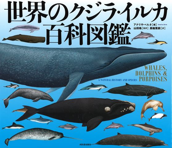 世界のクジラ・イルカ百科図鑑 / アナリサ・ベルタ 編 山田 格 監訳 黒