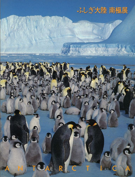 半券付き ふしぎ大陸 南極展 日本南極観測４０周年記念 ふしぎ大陸南極展 日本南極観測40周年記念 / ふしぎ大陸南極展図録編集