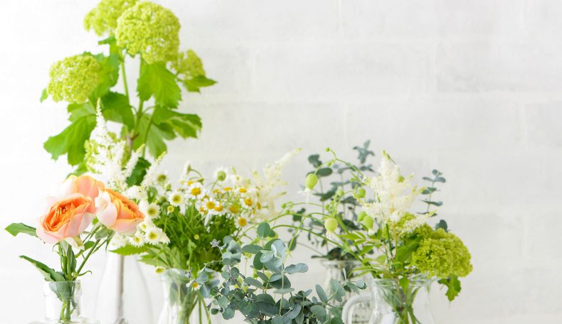 緑あるお部屋でリラックス、ボタニカルインテリアのつくり方