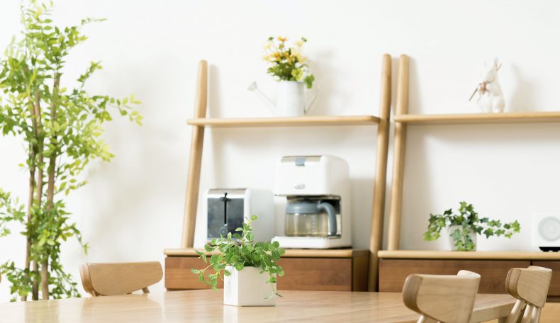 「植物と共に生きる」～ガーデニングを最高に楽しむ暮らし