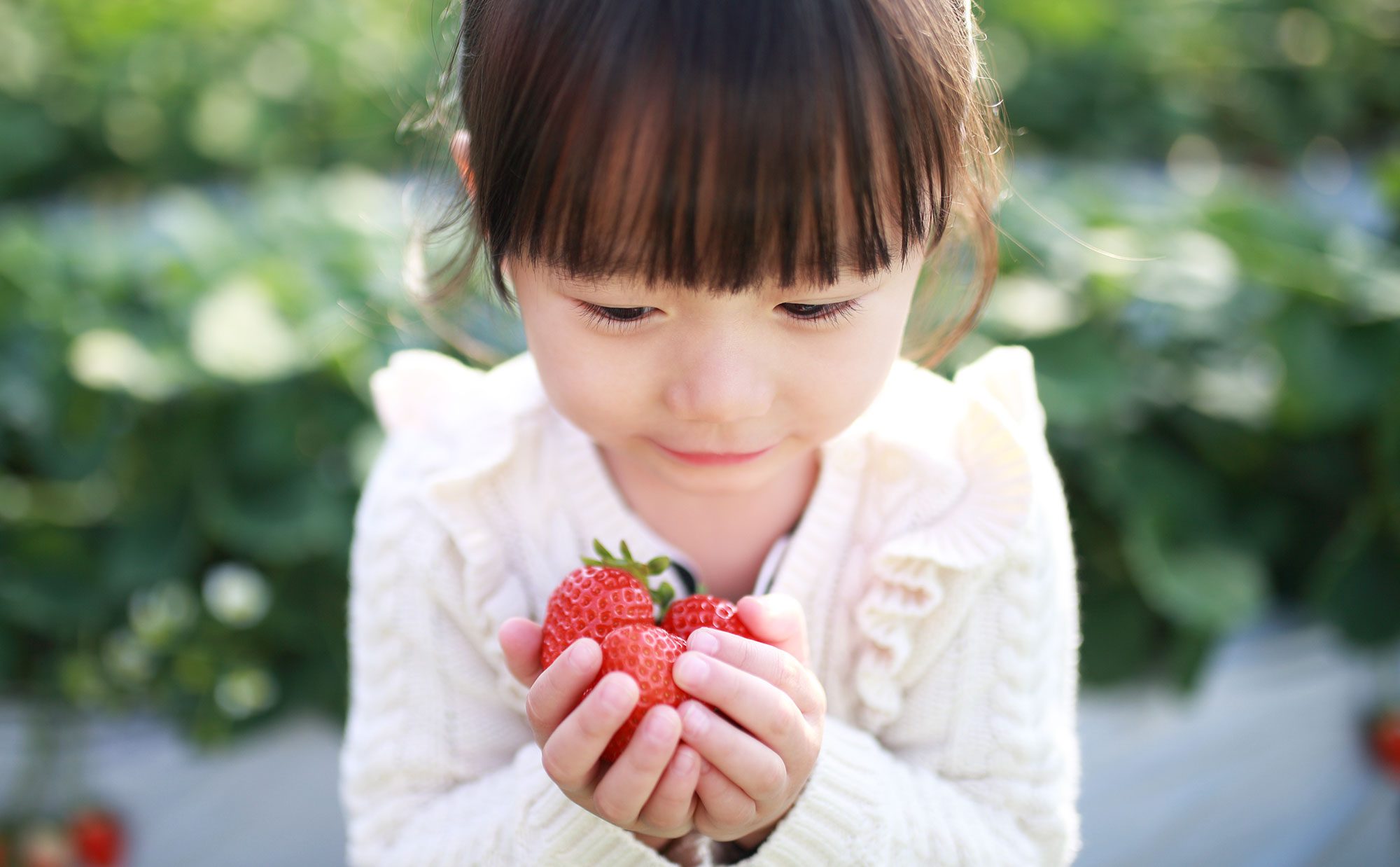 マニアイチオシ！いちご狩りをもっと楽しむスポット3選