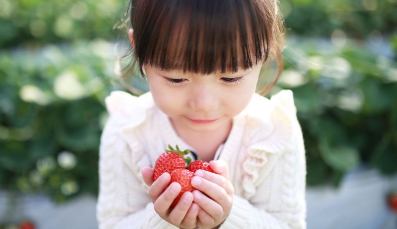 マニアイチオシ！いちご狩りをもっと楽しむスポット3選