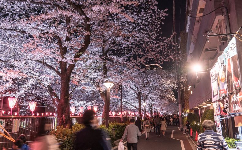 一人暮らしで中目黒を堪能！ トレンドショップやおしゃれなカフェ巡りを楽しむ暮らし