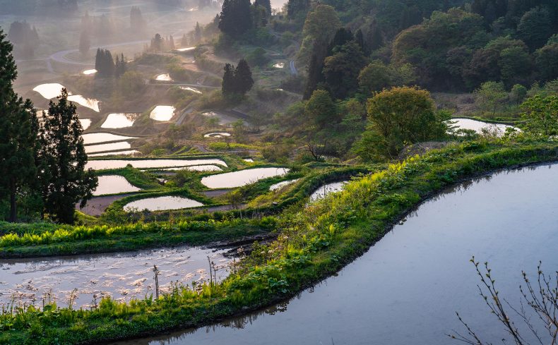 日本の絶景がすぐそこに！ 旅に出なくても美しい景色に出会える暮らし