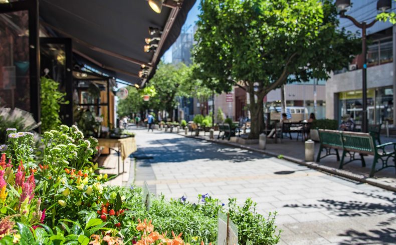 渋谷駅周辺はバス通勤がおすすめ！グルメと余暇が楽しめる暮らし