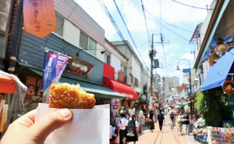 ほっとする、谷根千(やねせん)暮らし。谷根歴10年の私が魅力を語ります