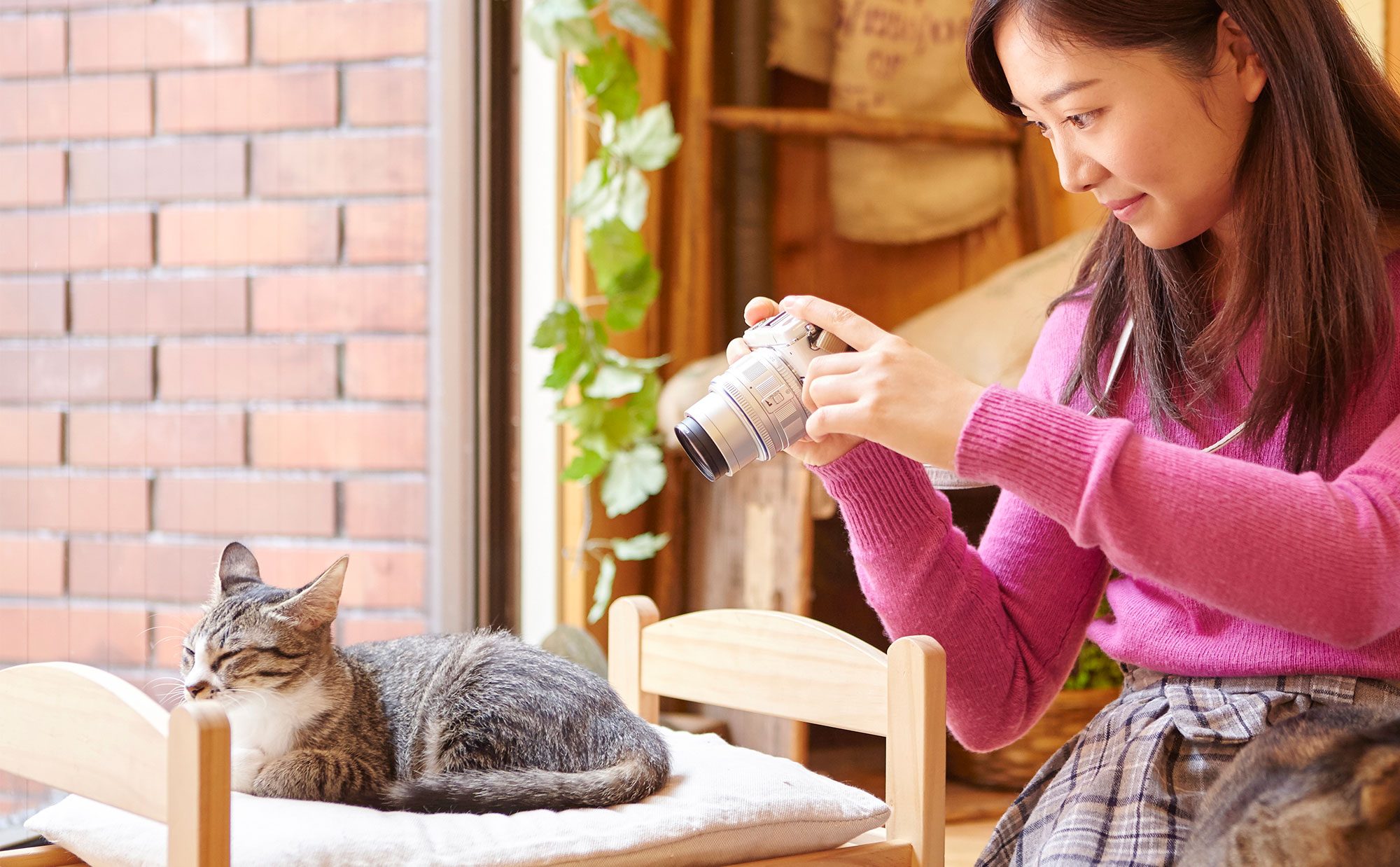 動物カフェに通う　猫カフェだけじゃない進化系アニマルカフェも！