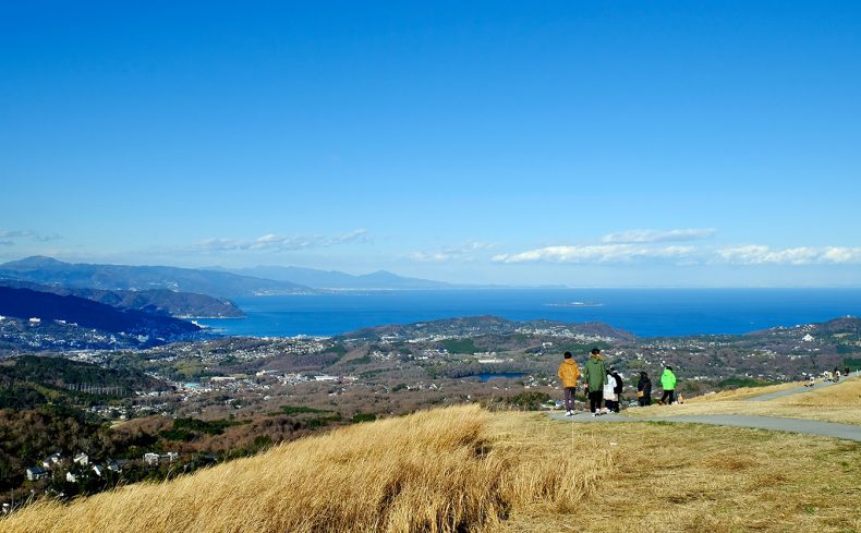 伊豆に移住し「地域おこし」始めました。豊かな自然を体感する暮らし
