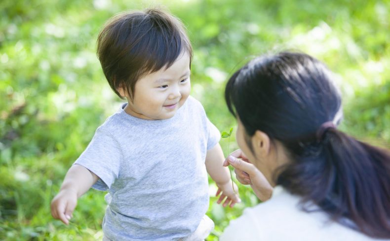 ラベンダーで虫除けスプレーを作ろう！ インテリアにも活かせる自然の力