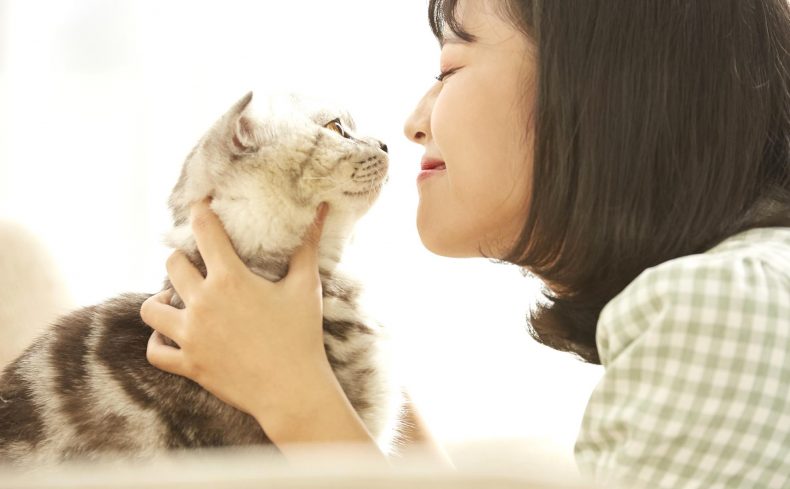 猫を迎える前にこれだけはそろえたい！ 幸せに暮らすための猫グッズ