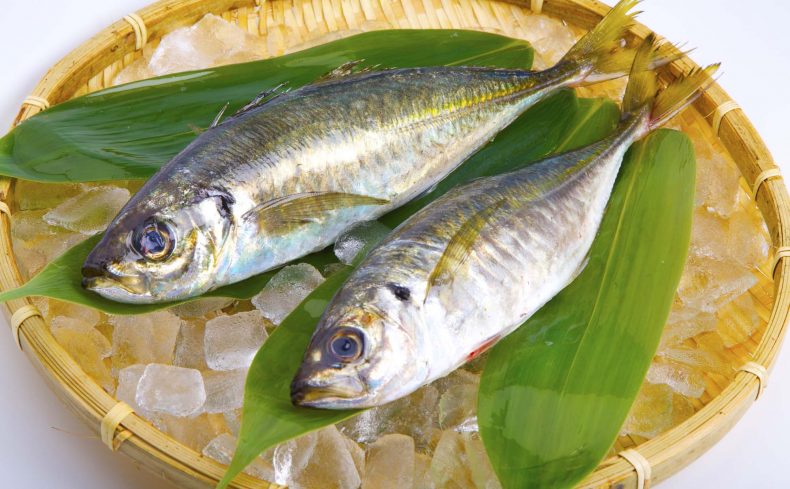 アジのさばき方を画像で解説。フライや塩焼き、新鮮な味を楽しもう