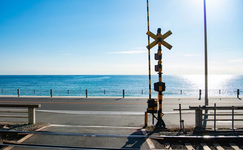 5年間の鎌倉暮らしで実感、冬の鎌倉ならではの魅力とは？