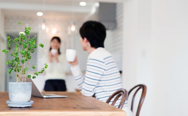 北欧インテリア×グリーンで暮らしを心地よく。育てやすい5つの観葉植物とは