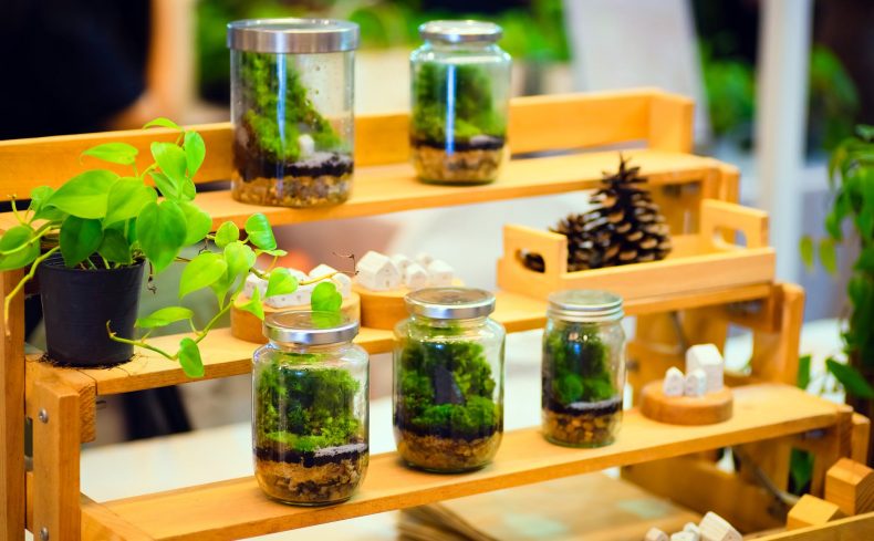 手軽に始められる「コケリウム」の魅力。アレンジ自在の小さな緑の世界