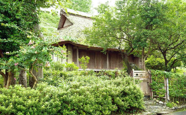 庭の恵みを満喫しよう。一戸建てに住むなら知っておきたい、庭木の剪定方法