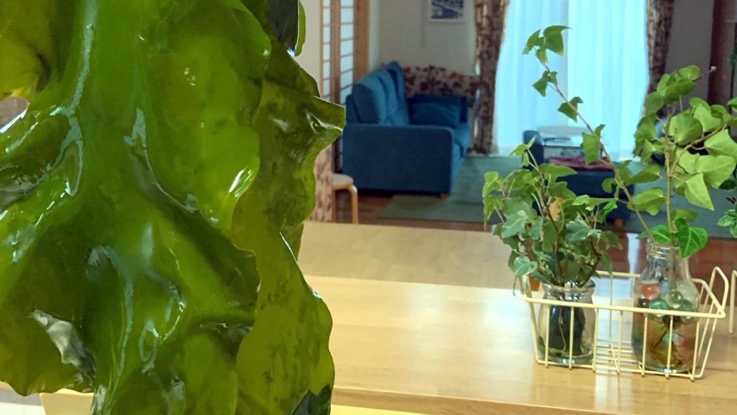 旬を感じながら暮らす宮城の暮らし