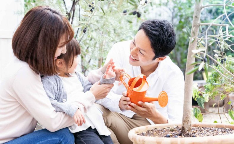 春は家庭菜園にぴったりの季節！ 初心者におすすめの野菜とその魅力