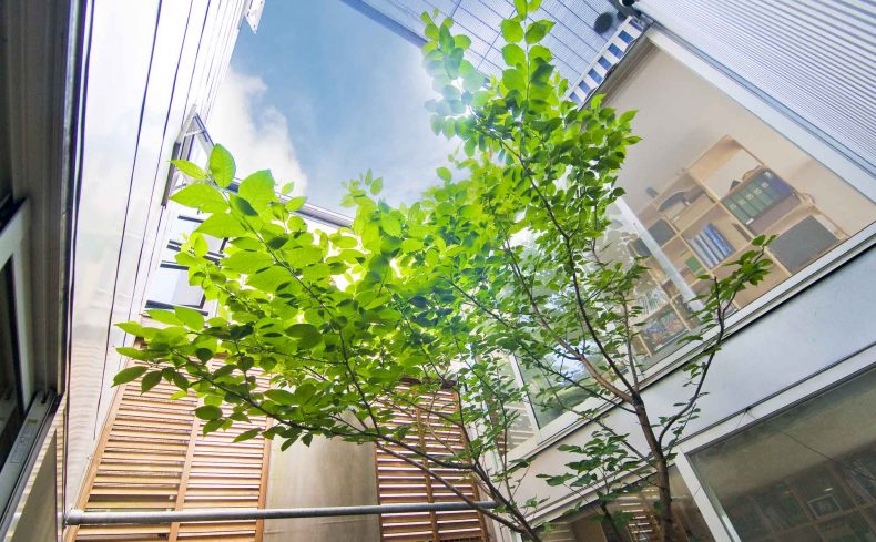 中庭でくつろぐ幸せ。暮らしてわかった中庭のある家のメリットと注意点
