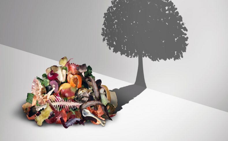 コンポストって何？ 米ぬかや生ごみを生かした、エコな暮らしの体験談