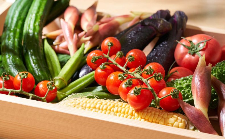 意外と知らない、夏野菜のこと。関西ならではの夏野菜とは？
