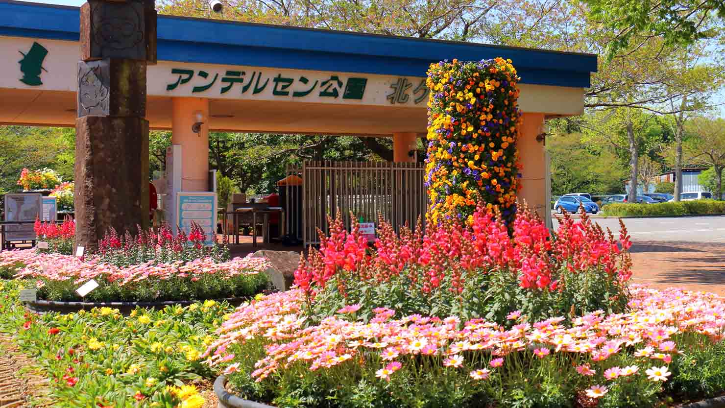 家族で一日遊べる大きな公園がいっぱい！ 千葉県の公園事情と暮らし心地