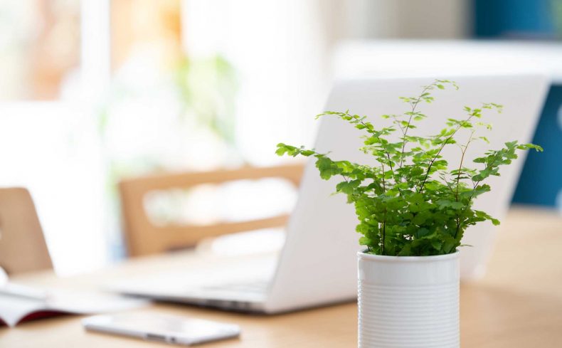 スマホと少し距離を置く。私の簡単デジタルデトックス体験談