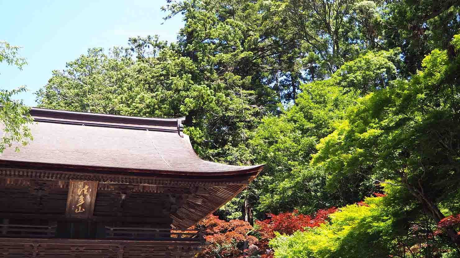 法多山の入口。このあと自然豊かな表道と階段が続く
