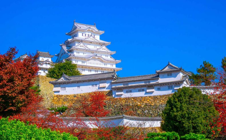 お城巡りは魅力がいっぱい！ 歴史と観光をまるっと楽しめる家族の趣味