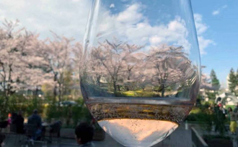 ニューワールドワインとは？ 低価格でおいしく気軽に！ ワインのある暮らし