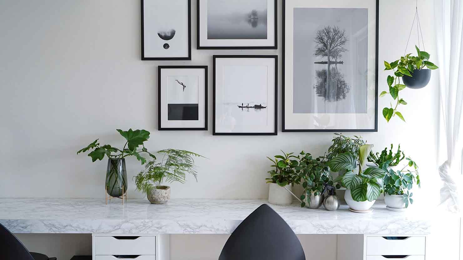 モノトーン×グリーンインテリア