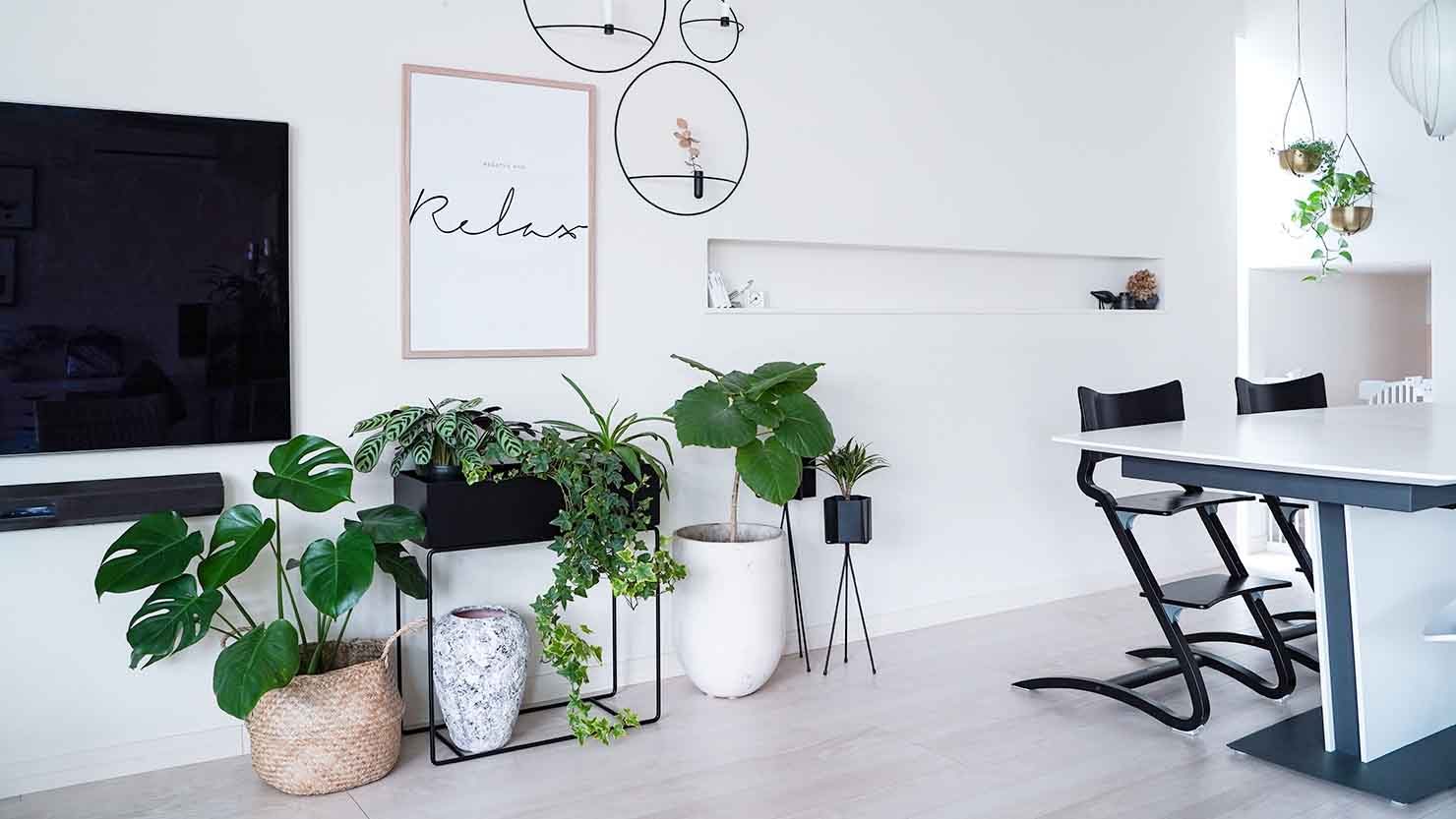 ホワイト×グリーン×ベージュのインテリ