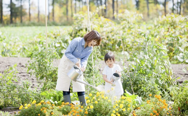 【特集】大人も子どもも楽しめる！ 親子でできる趣味とは