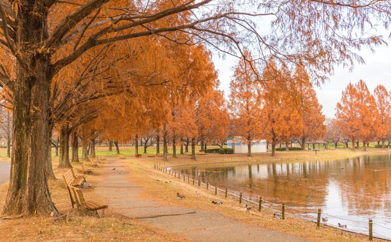 川越は1日遊べる大きな公園がいっぱい！ リアルな公園ライフをご紹介