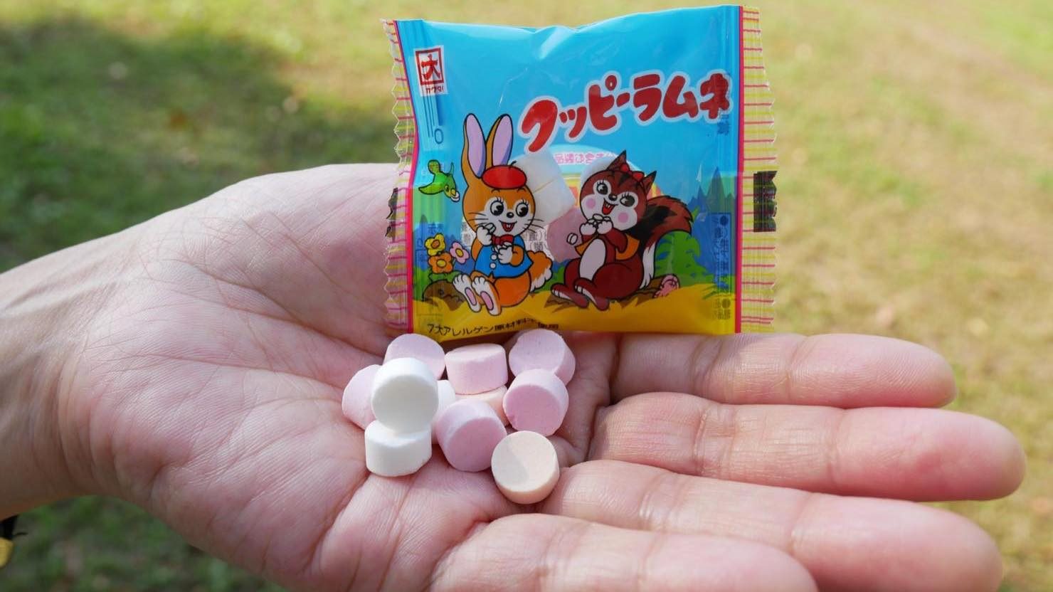 クッピーラムネ（4ｇ）。１袋の中に約10粒のラムネが入っています。味はオレンジ・イチゴ・レモン。３つの味がだいたい均一に入るようにパッケージされているそうです。ちなみにファミリーパックなどに入っている黄色いラムネもレモン味 