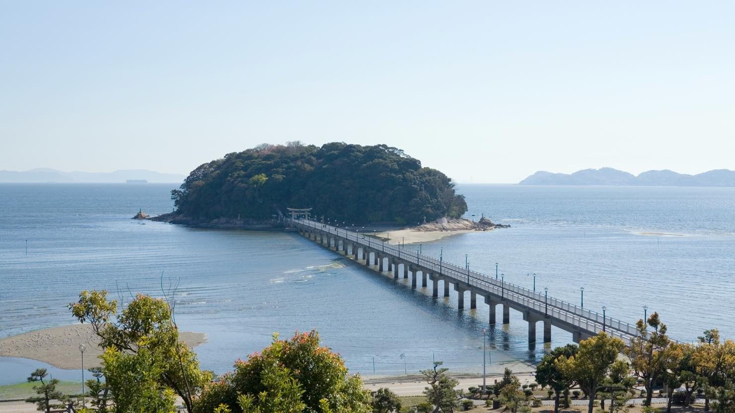 独自の植物体系を有することから天然記念物に指定された竹島 